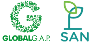 Global GAP Logo